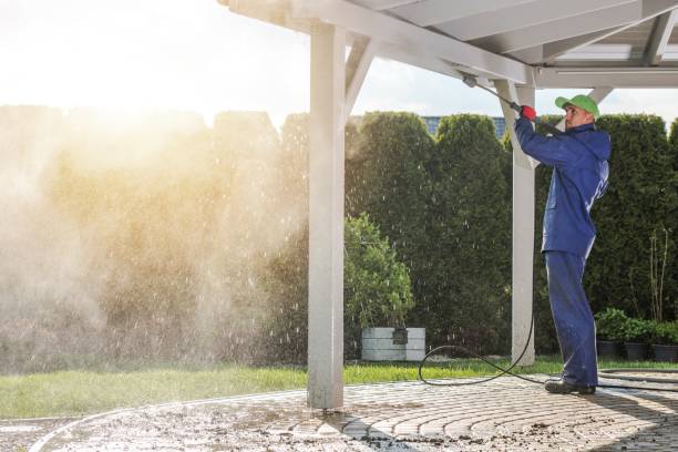 Best Pre-Holiday Cleaning  in Hancock, MI